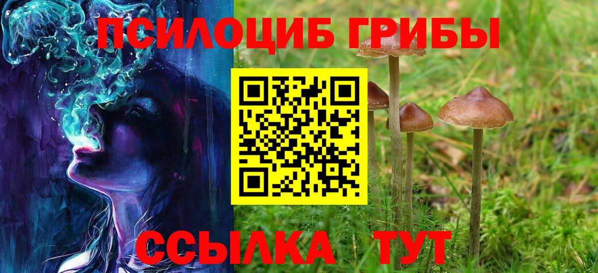 где продают   Галлюциногенные грибы Psilocybe  Вход с VPN  Галлюциногенные грибы мицелий  Бугуруслан 
